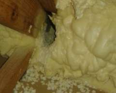 Insulation Damage