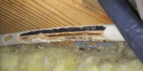 Chewed Wires (FIRE Hazard!)