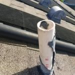 Rat Damage Repair Orlando
