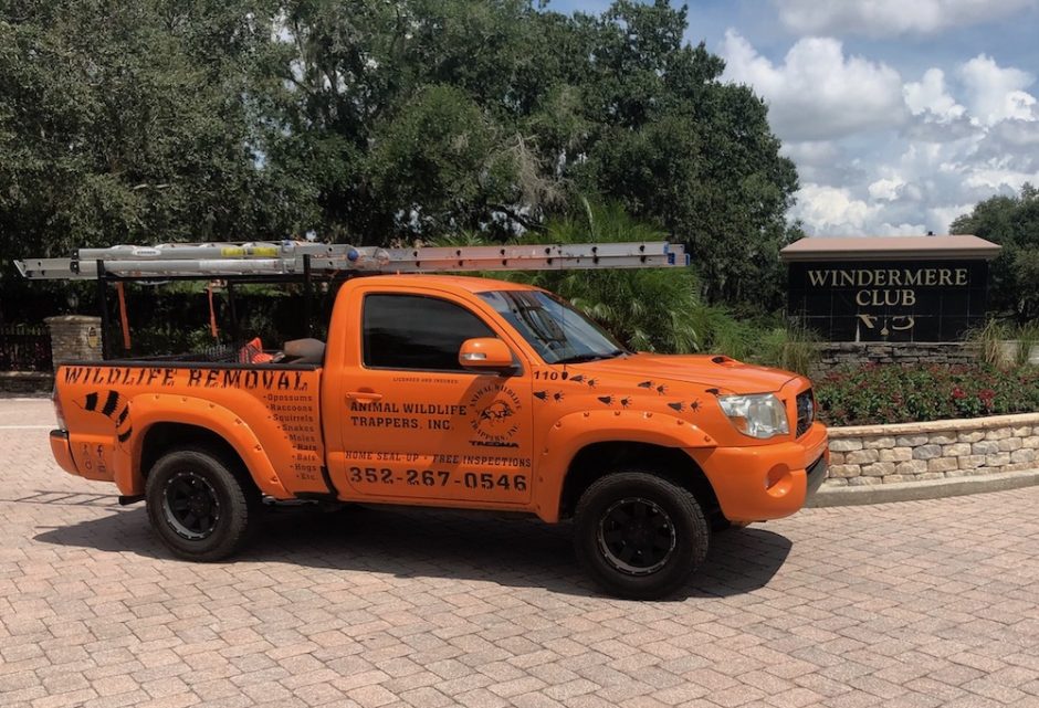 Dead Animal Removal Services - Animal Wildlife Trappers, Inc