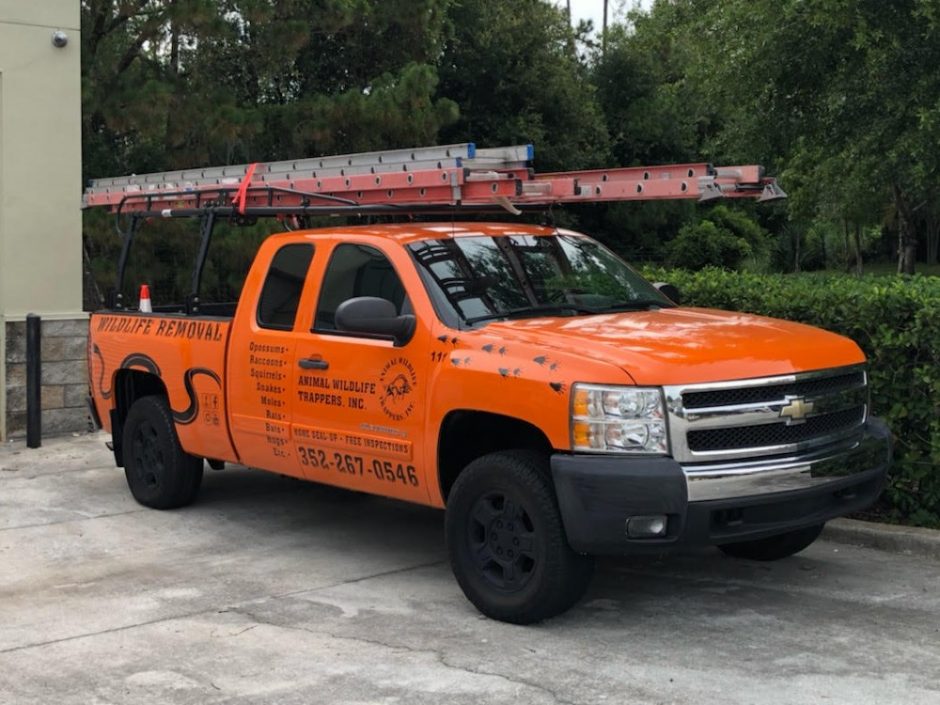 Orlando Animal Removal Services - Animal Wildlife Trappers