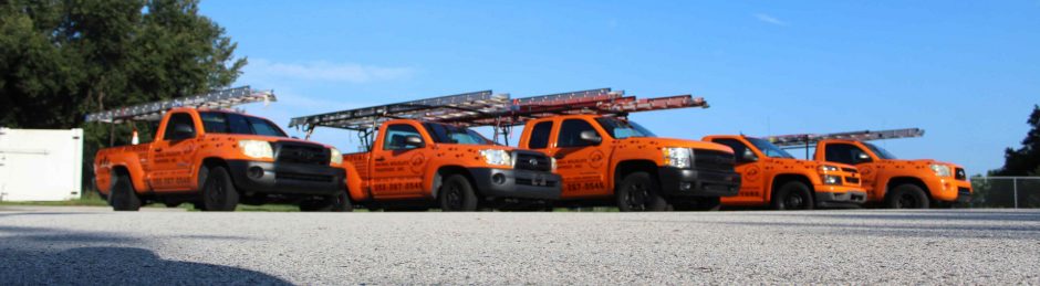 Orlando Animal Removal Services - Animal Wildlife Trappers