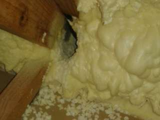 Insulation Damage